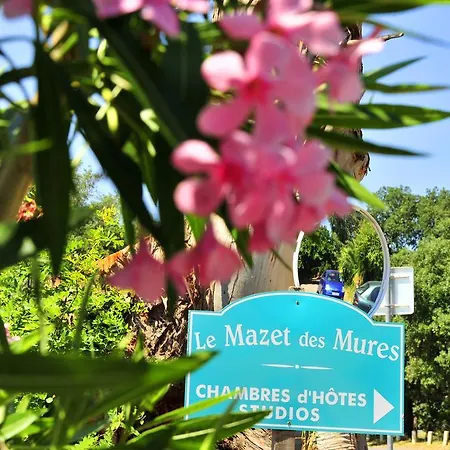 Les Du Mazet Des Mures غريمو